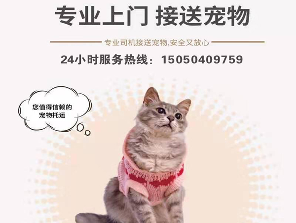 无锡宠物托运公司
