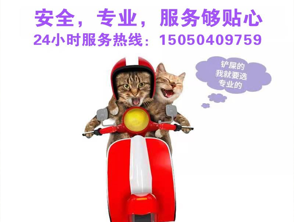 嘉兴宠物托运公司