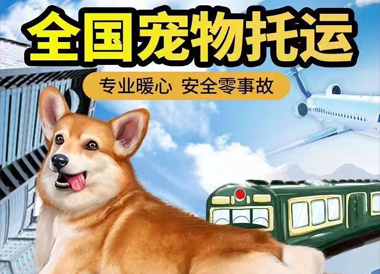 全国宠物托运平台15050409759全国连锁